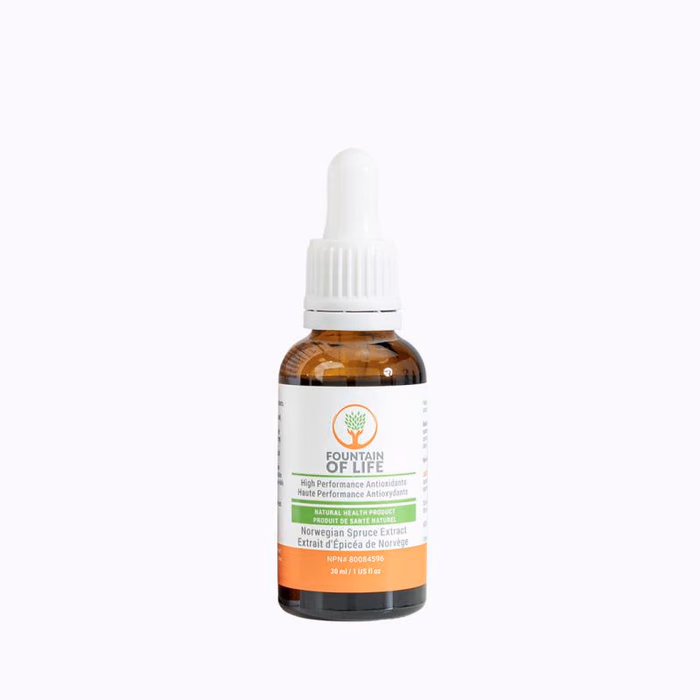 Fountain of Life - Single Bottle
